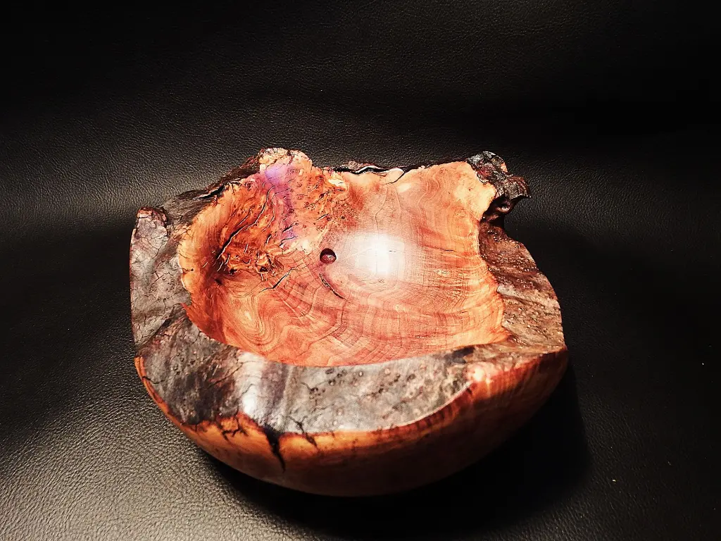DSCF0976.webp