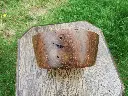 DSCF0810.webp
