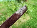 DSCF0833.webp
