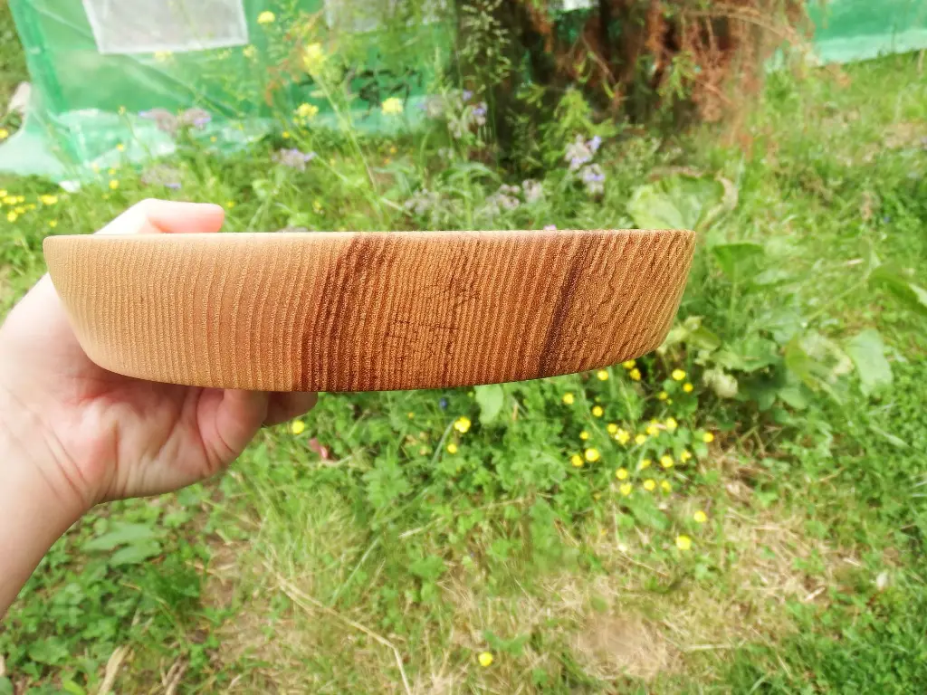 DSCF0844.webp