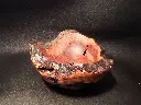 DSCF0964.webp