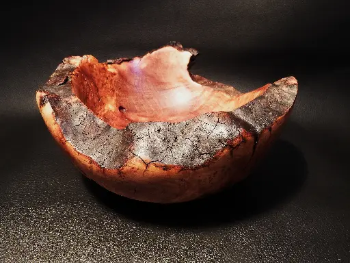 [SaladierOliv002] Saladier en racine d'Olivier